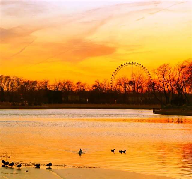 6首流年诗词,一岁年龄一岁心,时光打磨成熟心