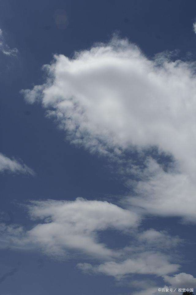 他而不停的有规律在动 学长想吃我的小兔子