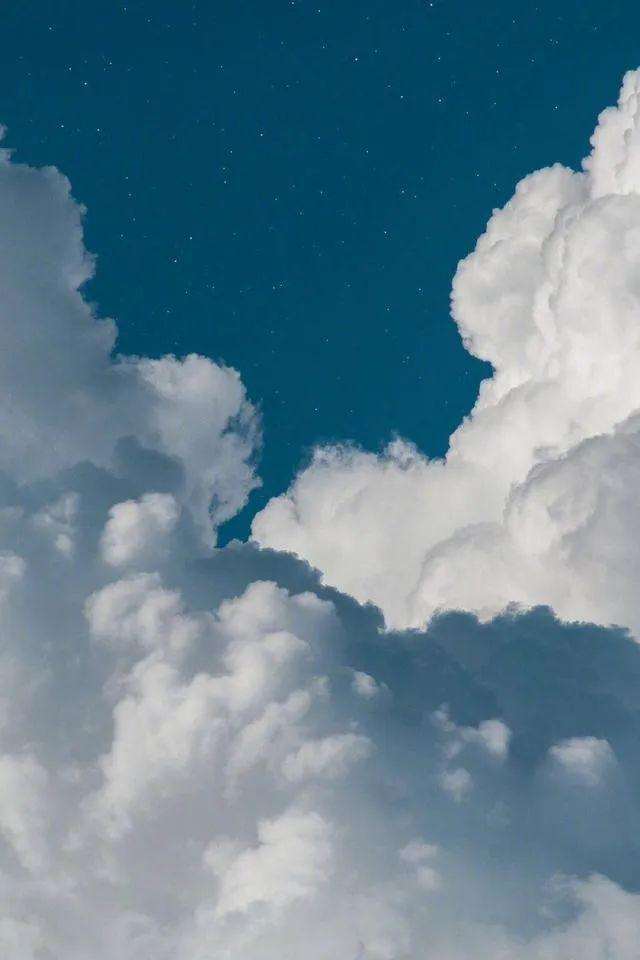 老婆的狗情人节说说