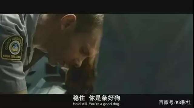 我关在笼子里当狗养的经历 人狗叫配图