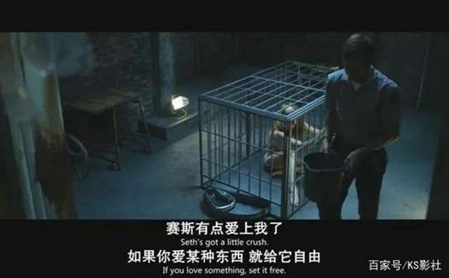 我关在笼子里当狗养的经历 人狗叫配图