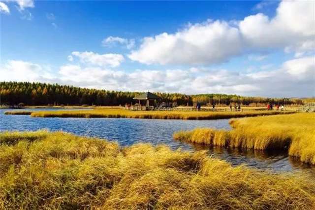 正能量人生感悟哲理句子