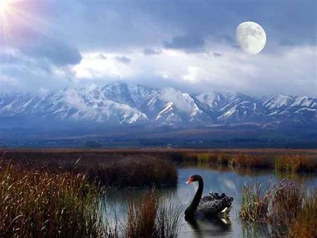 正能量人生感悟哲理句子