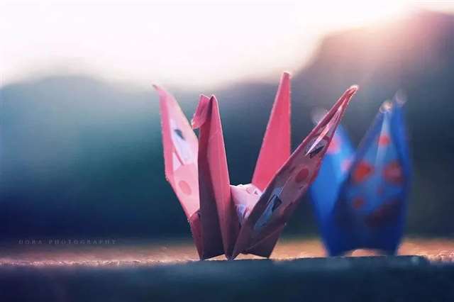 致不再年轻的自己!