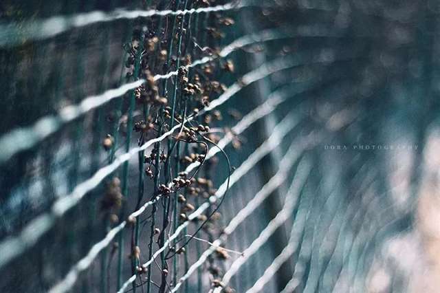 致不再年轻的自己!