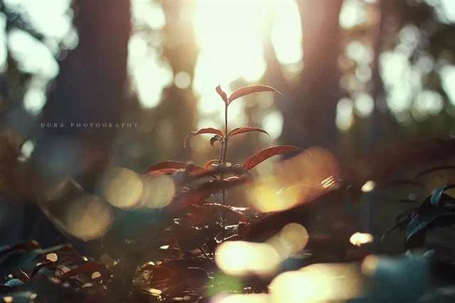 致不再年轻的自己!