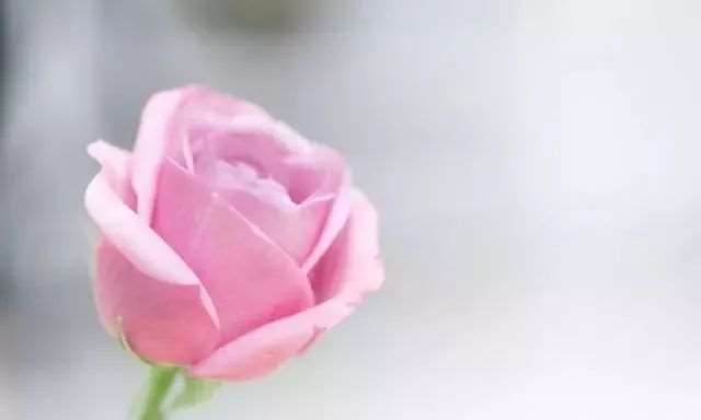 很好的五句话(送给所有人)