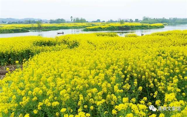 有哪些简而不素的句子让你一笑而过?