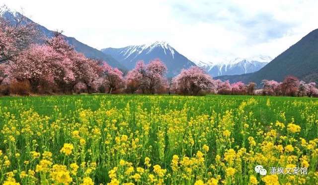 有哪些简而不素的句子让你一笑而过?