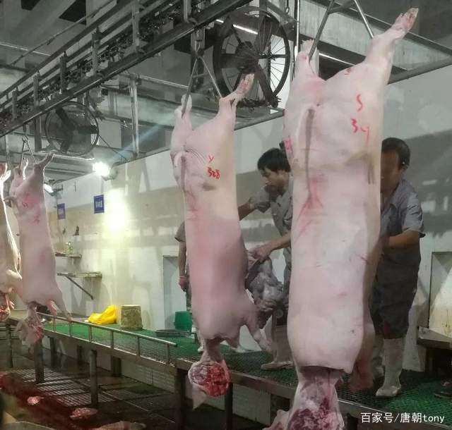 我在乡镇派出所生涯