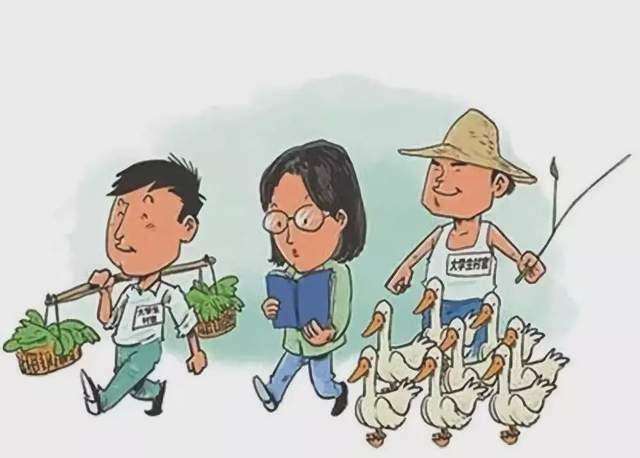 我的大学生村官成长史 乡村野事,老乡