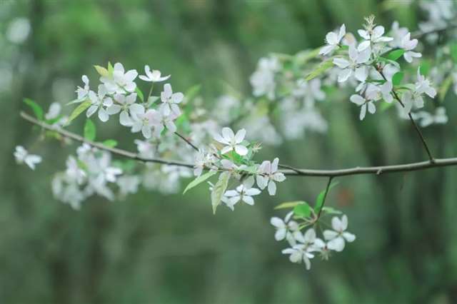 微笑着,走好自己的路