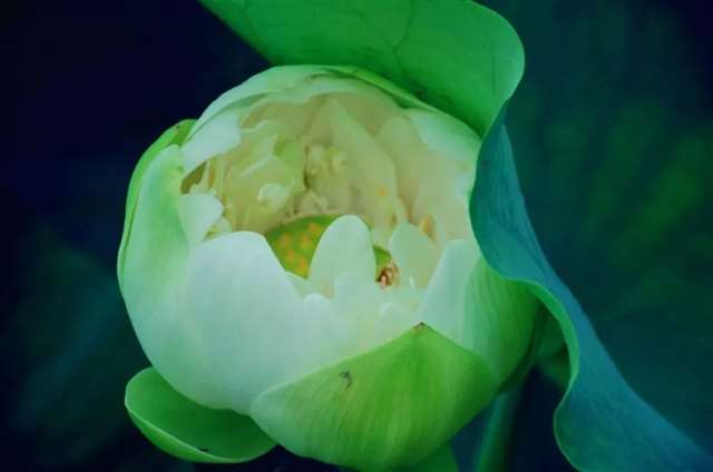 微笑着,走好自己的路