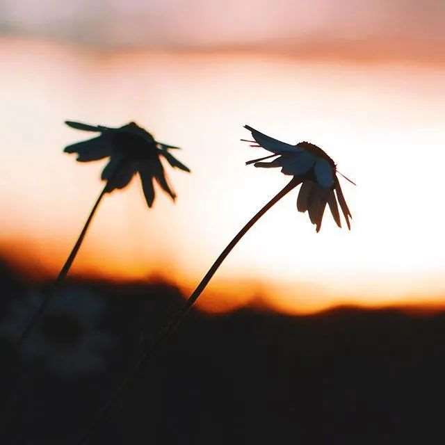 微笑着,走好自己的路