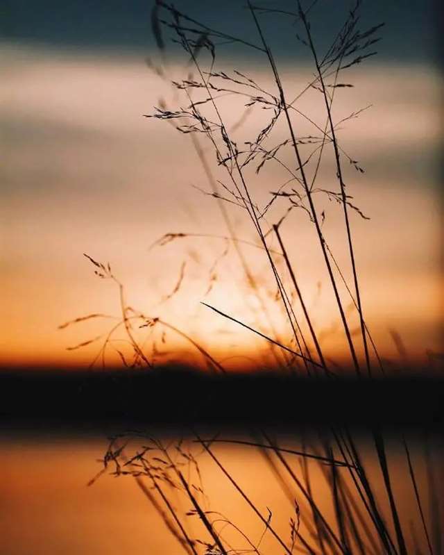 微笑着,走好自己的路