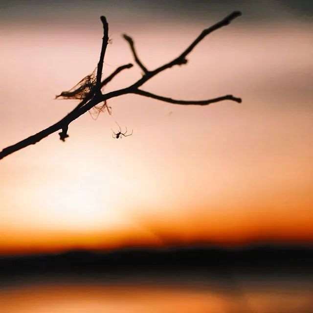 微笑着,走好自己的路