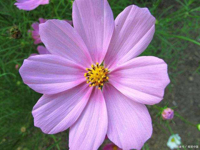  轮c 体验过大的还能接受小的吗