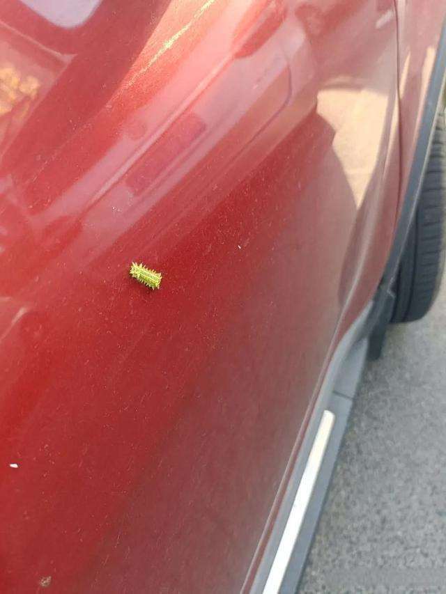 男朋友让他兄弟来试探我