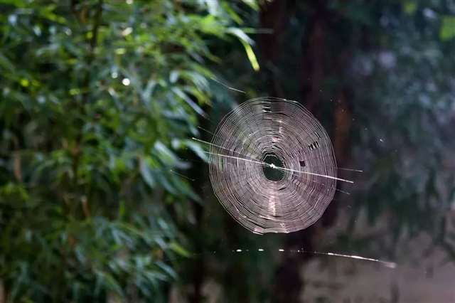 问心无愧,活着不累