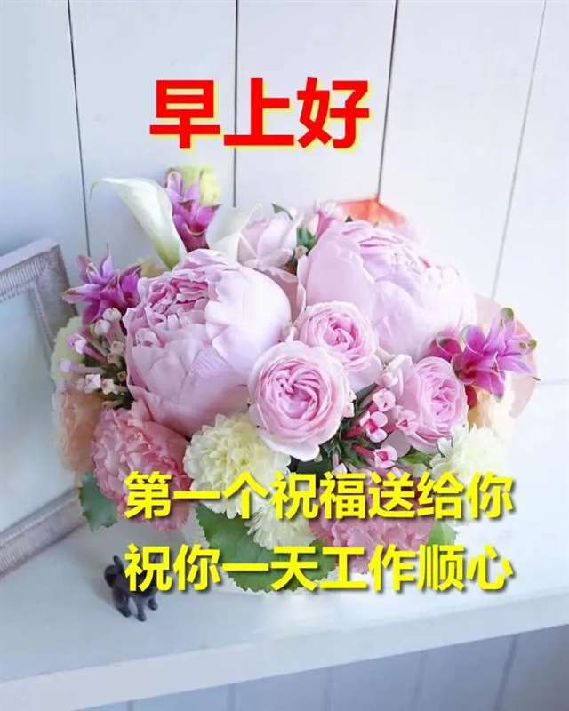 春季早上好的微信表情图片 大家早上好表情图片