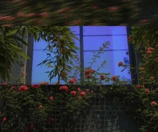 太难了的句子说说心情图片