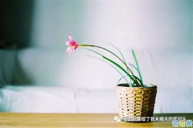 女生唯美伤感说说带图片 一句话描述心情不好的说说