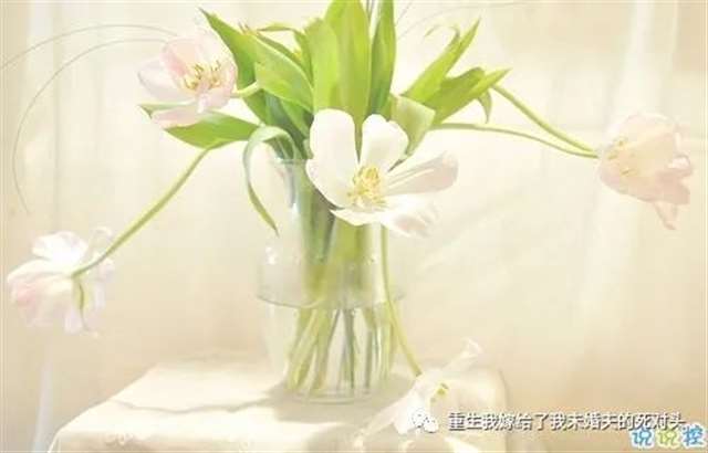 女生唯美伤感说说带图片 一句话描述心情不好的说说