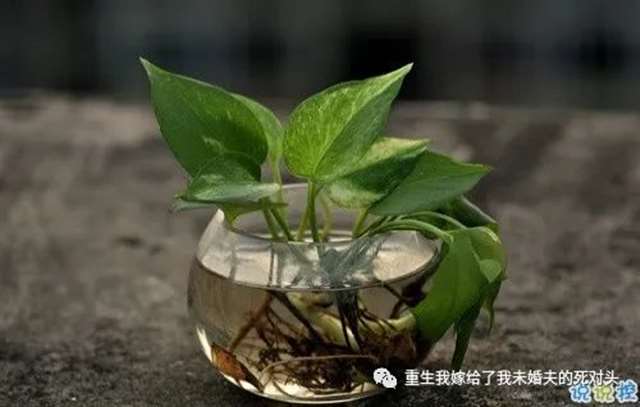 女生唯美伤感说说带图片 一句话描述心情不好的说说