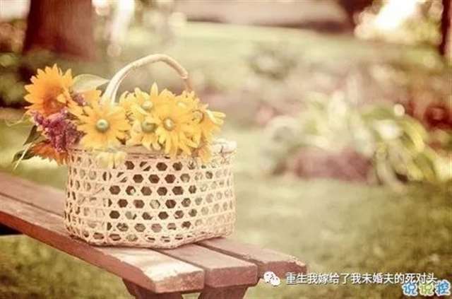 女生唯美伤感说说带图片 一句话描述心情不好的说说