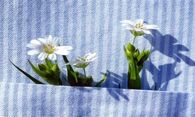 人生感悟的说说 致自己一句简短的心情句子