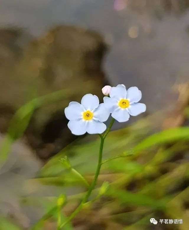 看完受益一生的感悟句子,总有一句入人心坎!