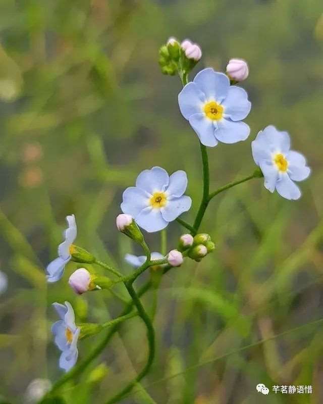 看完受益一生的感悟句子,总有一句入人心坎!