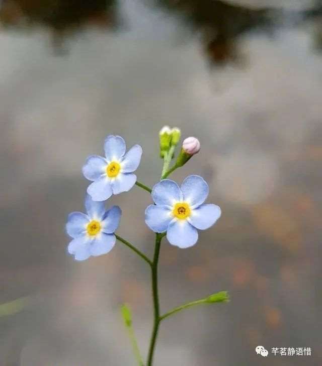 看完受益一生的感悟句子,总有一句入人心坎!