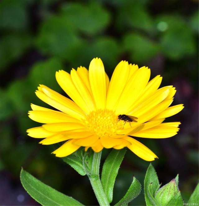 5个男的和一个女的 前后夹击