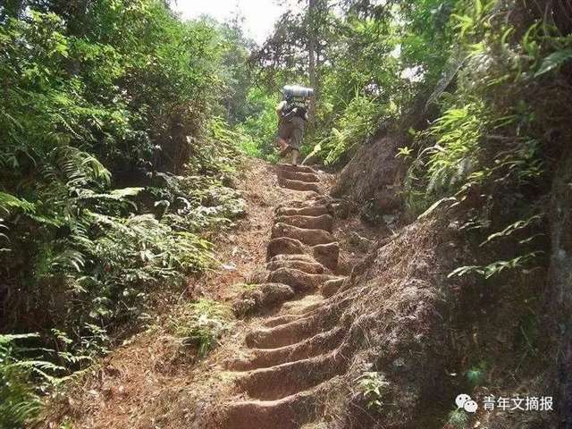 从前一生只够睡一人