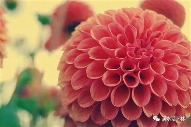 一瞬间彻底醒悟的说说,深入心坎的短语