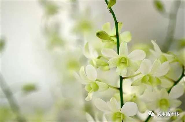 一瞬间彻底醒悟的说说,深入心坎的短语