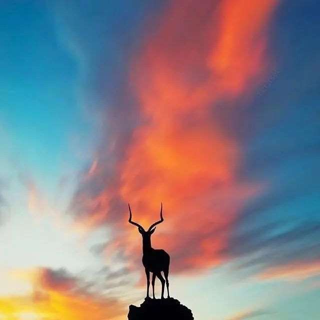 一瞬间彻底醒悟的说说,句句经典,发人深省