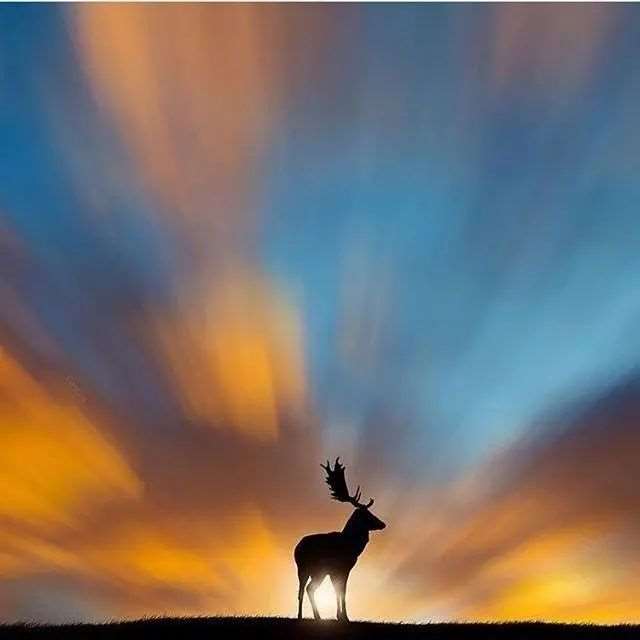 一瞬间彻底醒悟的说说,句句经典,发人深省