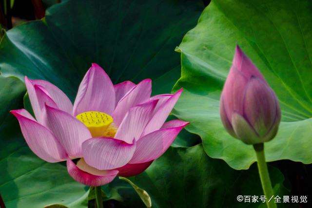 癌症后的人生感悟 面对癌症的人生感悟