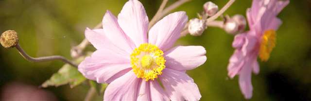 非常经典的人生感悟句子,感悟深刻,一语惊醒梦中人