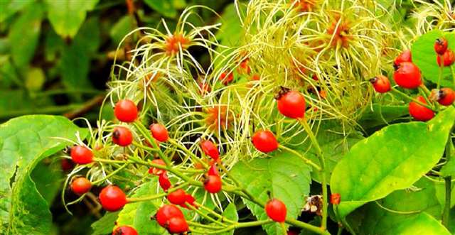 非常经典的人生感悟句子,感悟深刻,一语惊醒梦中人