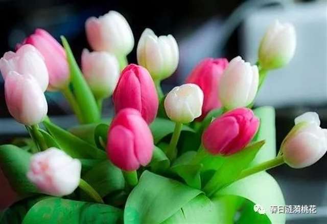 形容语言最伤人的句子