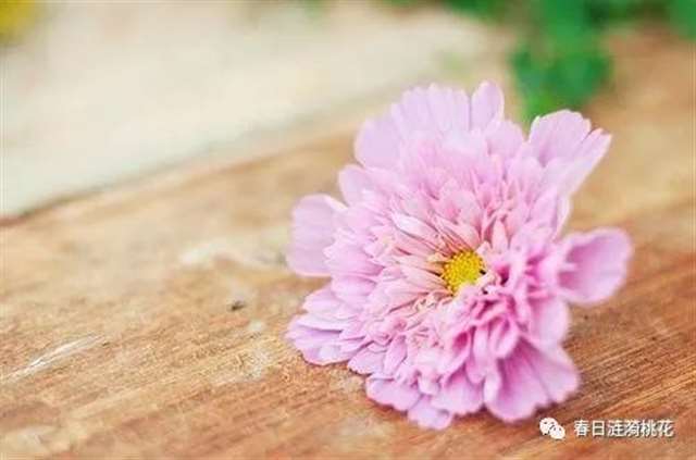 形容语言最伤人的句子