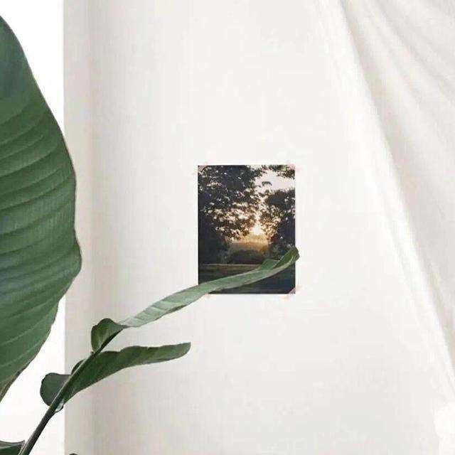 用在作文里的神仙句子 满分作文神仙开头