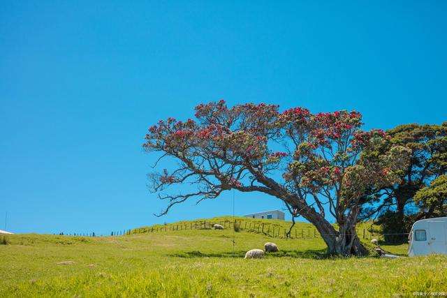 深夜emo文案高级 关于emo的文案高级