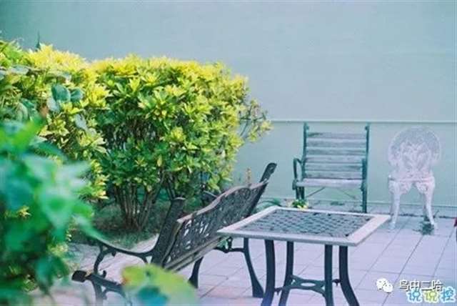 表达爱意的唯美句子配图 肯定能打动你心的唯美说说带图片