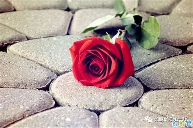 与爱情有关的朋友圈说说带图片 余生有你我好欢喜