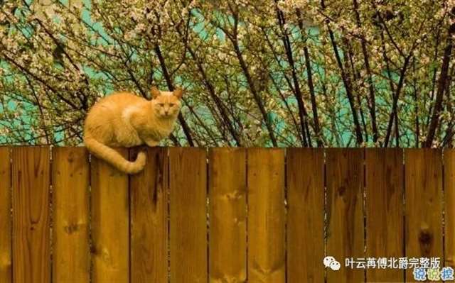 心里甜蜜蜜的爱情说说带图片 爱情说说一辈子只爱你