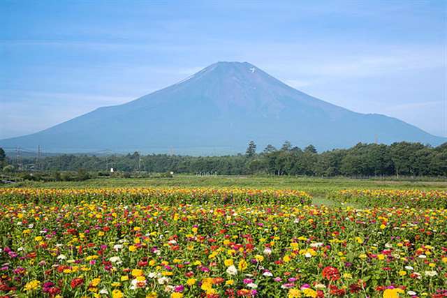一句话形容自己很幸福 一句简单晒幸福的句子